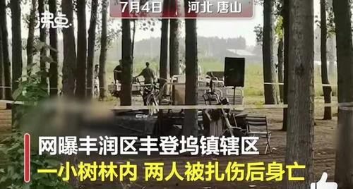 唐山视频爆料,还原事件真相,揭开暴力冲突背后 第2张 唐山视频爆料,还原事件真相,揭开暴力冲突背后 第2张