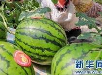 淄博吃瓜爆料事件最新消息,最新进展揭秘,真相即将揭晓 第3张 淄博吃瓜爆料事件最新消息,最新进展揭秘,真相即将揭晓 第3张